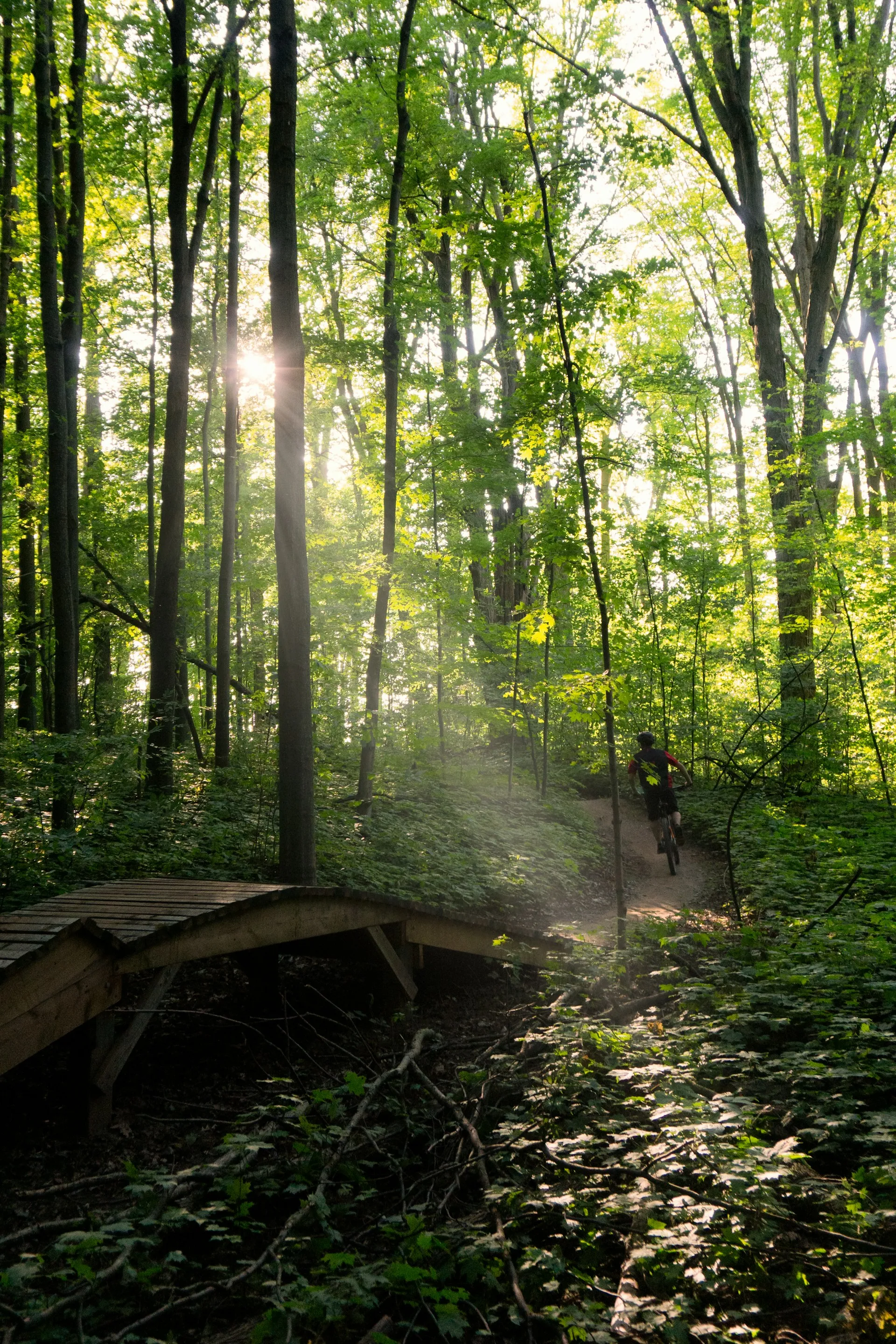 Man riding mountain bike in the forest.